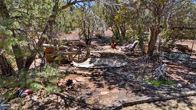 1051 Dusty Ln, Show Low, AZ 85901 - view of undeveloped land