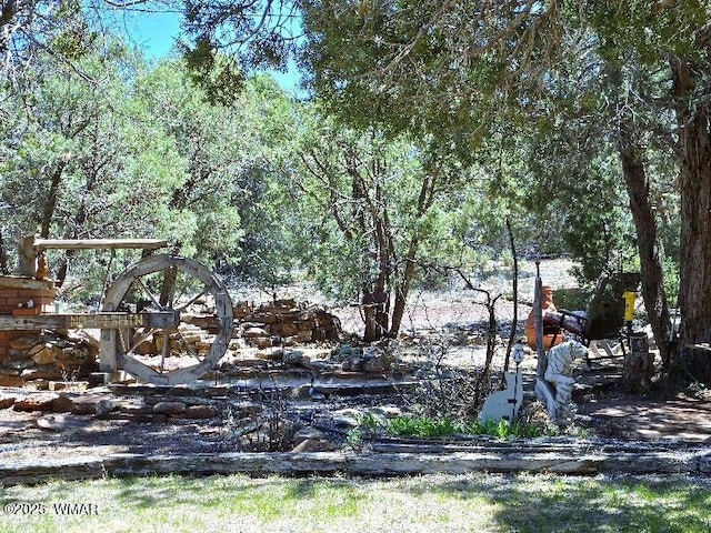 1051 Dusty Ln, Show Low, AZ 85901 - view of yard