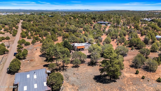 1051 Dusty Ln, Show Low, AZ 85901 - photo 52