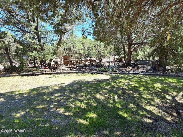 1051 Dusty Ln, Show Low, AZ 85901 - view of green lawn