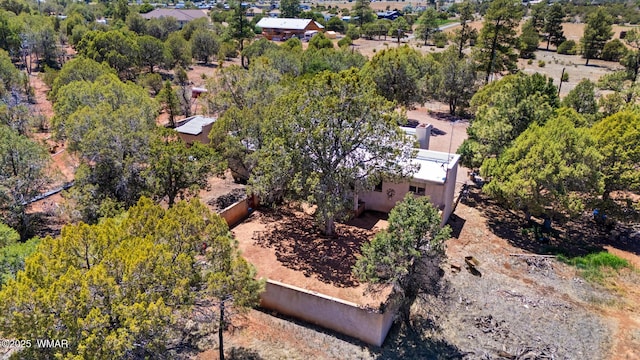 1051 Dusty Ln, Show Low, AZ 85901 - aerial view of property and surrounding area
