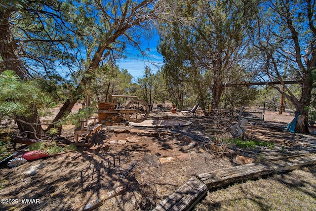 1051 Dusty Ln, Show Low, AZ 85901 - view of yard