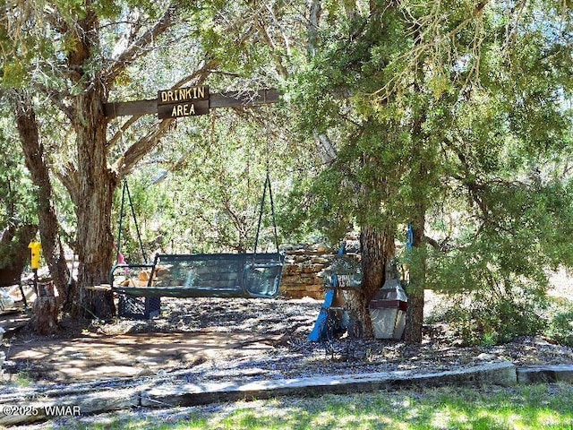 1051 Dusty Ln, Show Low, AZ 85901 - view of yard