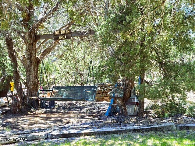 1051 Dusty Ln, Show Low, AZ 85901 - photo 36