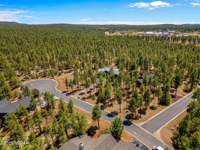 1135 W Big Springs Trl, Lakeside, AZ 85929 - photo 42