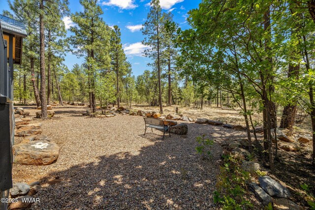 1135 W Big Springs Trl, Lakeside, AZ 85929 - photo 39