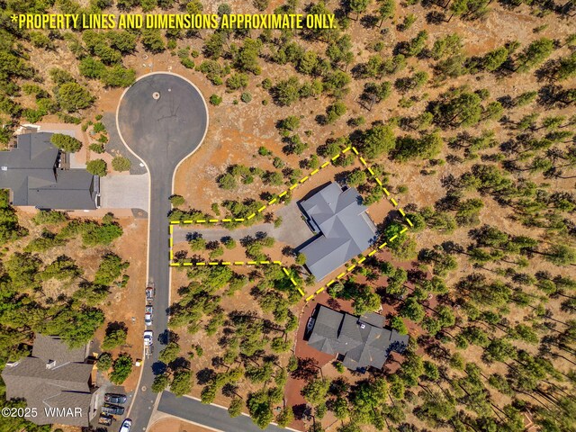 1135 W Big Springs Trl, Lakeside, AZ 85929 - photo 46