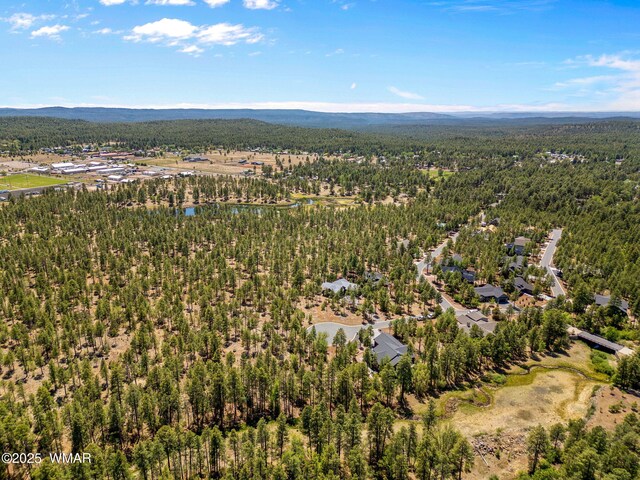 1135 W Big Springs Trl, Lakeside, AZ 85929 - photo 45