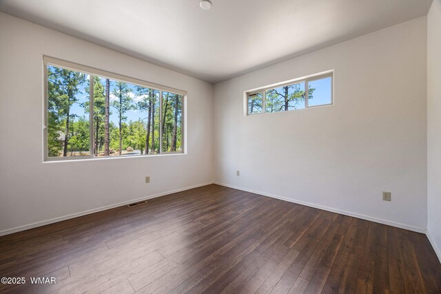 1135 W Big Springs Trl, Lakeside, AZ 85929 - photo 28