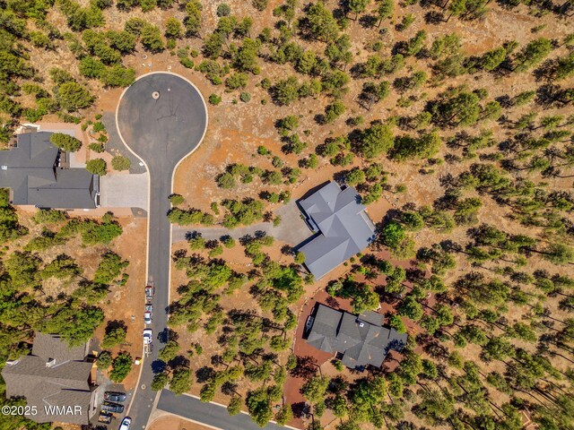 1135 W Big Springs Trl, Lakeside, AZ 85929 - photo 43