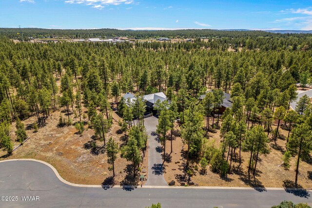 1135 W Big Springs Trl, Lakeside, AZ 85929 - photo 41