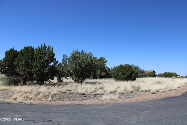 2511 Rock View Dr, Show Low AZ, 85901 land for sale