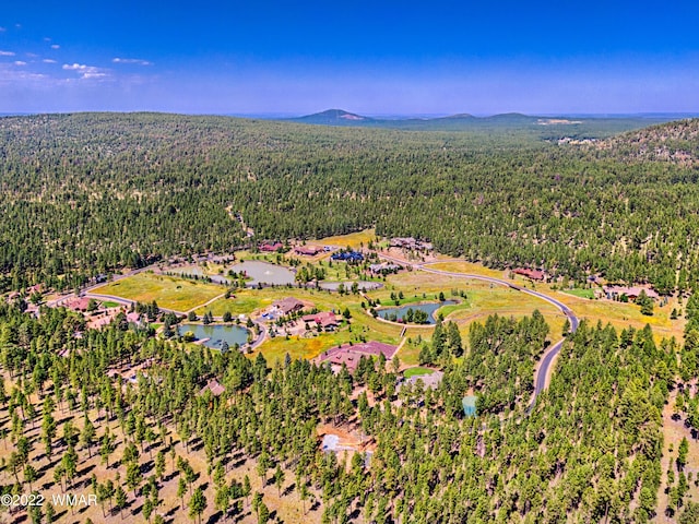 9581 Sierra Springs Dr, Pinetop AZ, 85935 land for sale