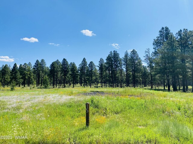 9581 Sierra Springs Dr, Pinetop, AZ 85935 - photo 4