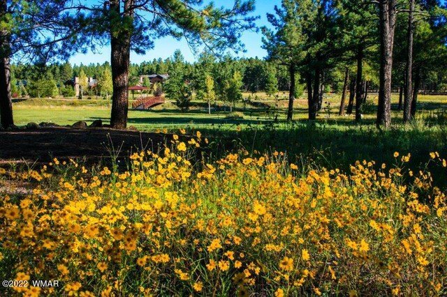 9581 Sierra Springs Dr, Pinetop, AZ 85935 - photo 14