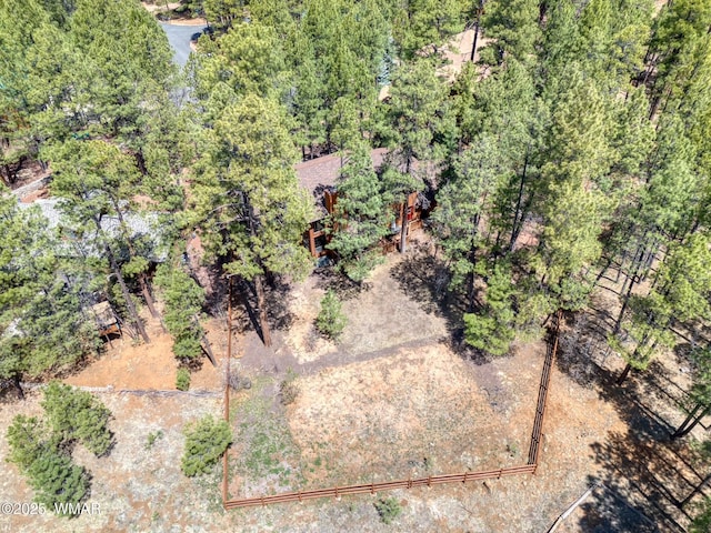 6578 Pinto Cir, Pinetop, AZ 85935 - photo 34