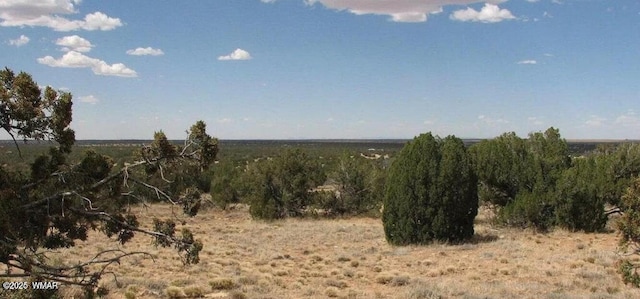 5148 Byrnes Rd, Heber, AZ 85928