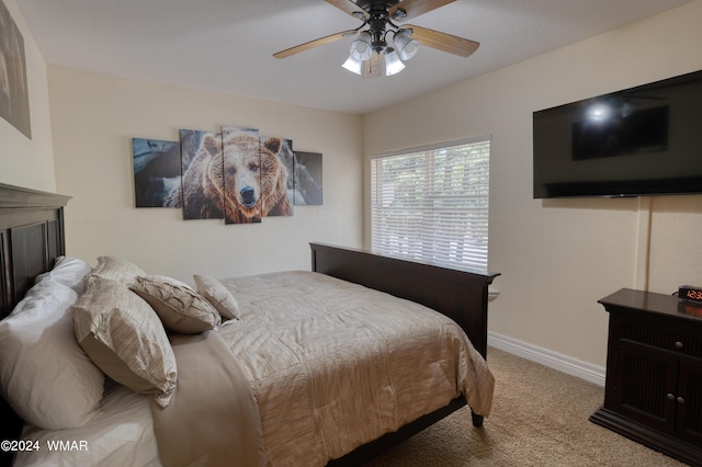 3844 E Bermuda Cir, Pinetop, AZ 85935 - photo 19