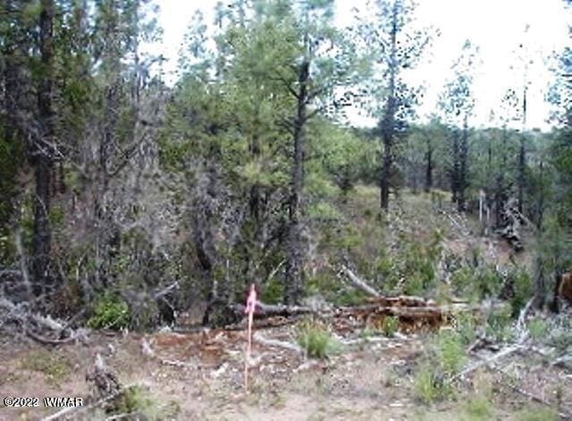 Listing photo 2 for PARD1885 Chevelon Rd, Heber AZ 85928