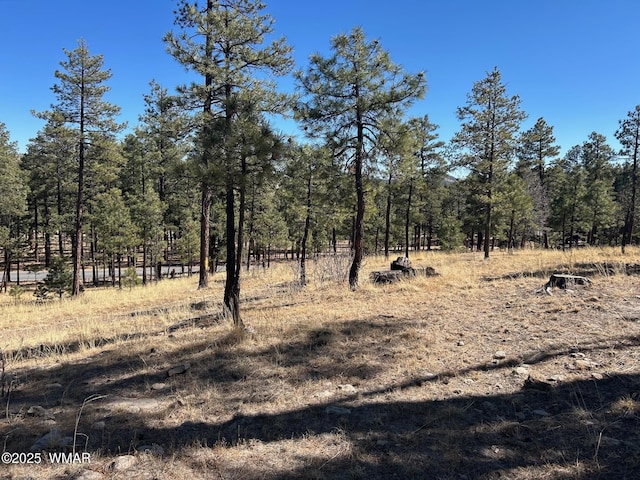 10 County Road 2193, Alpine AZ, 85920 land for sale