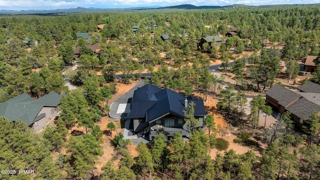 280 S Falling Leaf Rd, Show Low, AZ 85901 - photo 2