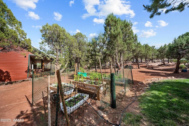 6711 Bandido Way, Show Low, AZ 85901 - view of yard featuring a vegetable garden