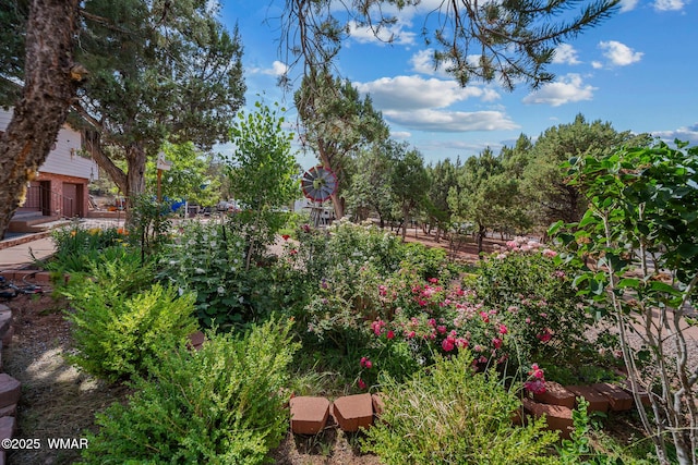 6711 Bandido Way, Show Low, AZ 85901 - view of yard