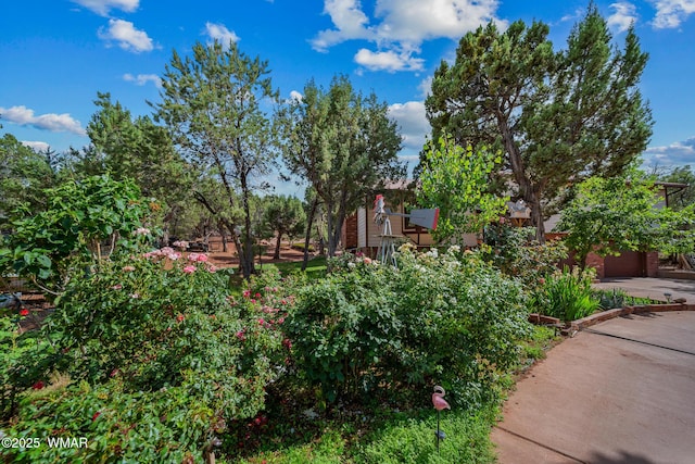 6711 Bandido Way, Show Low, AZ 85901 - view of yard with a garage and driveway