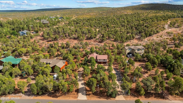 6711 Bandido Way, Show Low, AZ 85901 - drone / aerial view of a forest