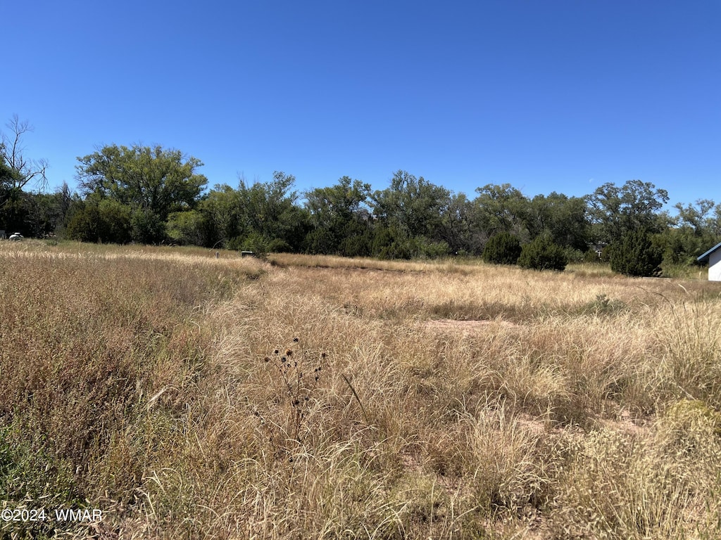 LOT13 Susie Ln, Springerville, AZ 85938