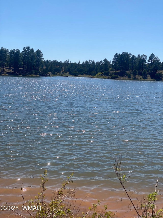 3361 W Hansen, Show Low, AZ 85901