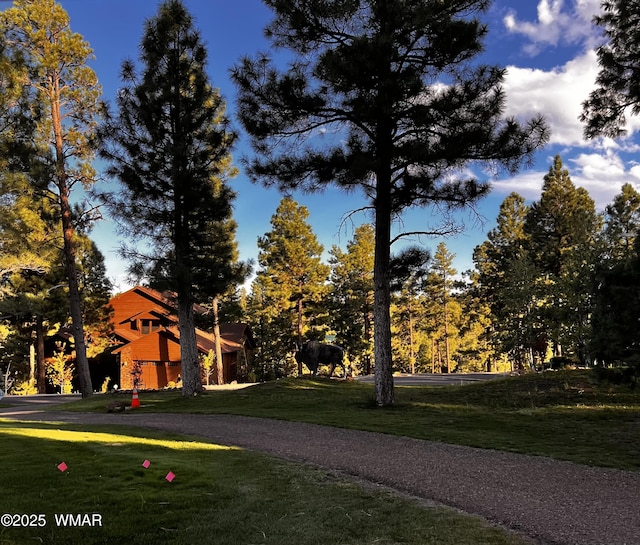 3361 W Hansen, Show Low, AZ 85901