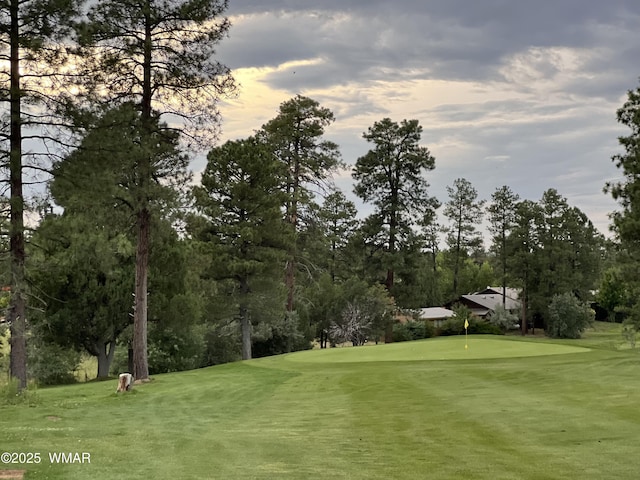 3361 W Hansen, Show Low, AZ 85901