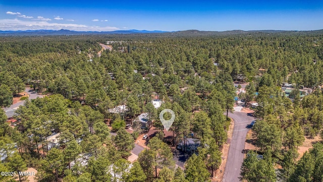 4321 W Mogollon Dr, Show Low, AZ 85901 - photo 3