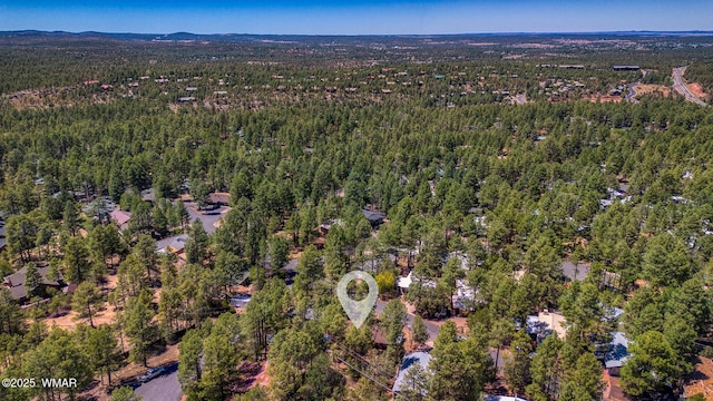 4321 W Mogollon Dr, Show Low, AZ 85901 - photo 27