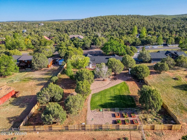 bird's eye view with a view of trees