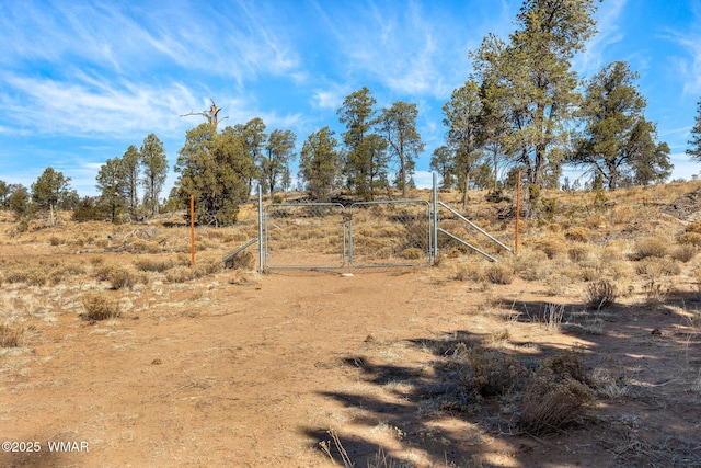 view of yard featuring a rural view and a gate