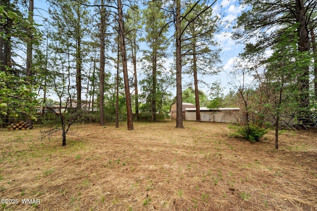 1259 S Penrod Dr, Pinetop, AZ 85935 - view of yard