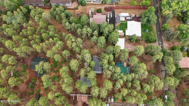 1259 S Penrod Dr, Pinetop, AZ 85935 - drone / aerial view