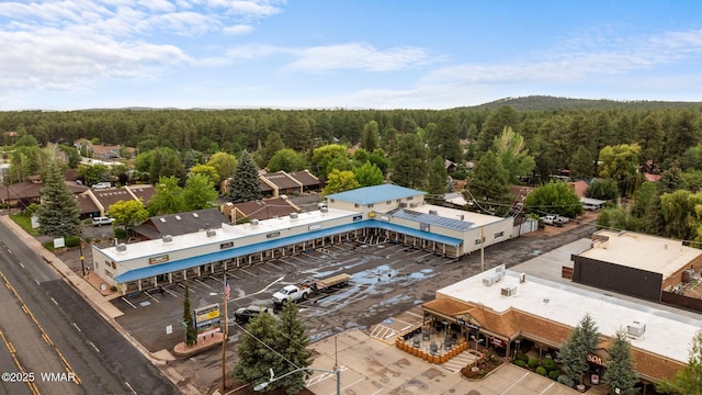 1259 S Penrod Dr, Pinetop, AZ 85935 - aerial view of a forest