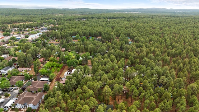 1259 S Penrod Dr, Pinetop, AZ 85935 - bird's eye view of a forest