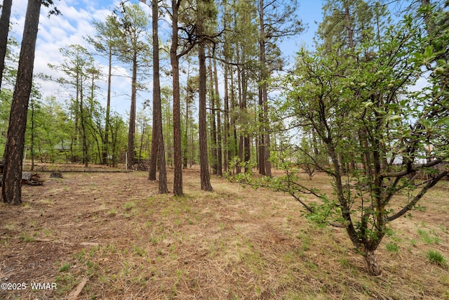 1259 S Penrod Dr, Pinetop, AZ 85935 - view of yard
