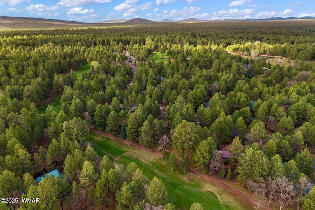 3530 Soaring Eagle Way, Pinetop, AZ 85935 - bird's eye view of a forest and a mountain backdrop
