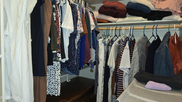 1050 E Jefferson St, Snowflake, AZ 85937 - view of walk in closet