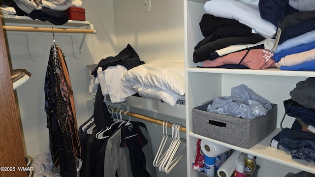 1050 E Jefferson St, Snowflake, AZ 85937 - view of spacious closet