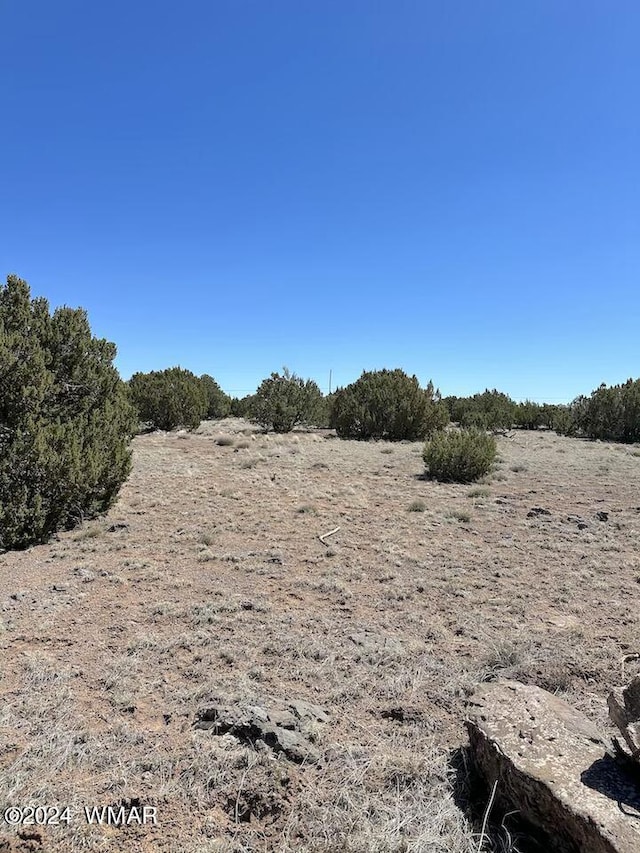 2155 Mallory Dr, Show Low AZ, 85901 land for sale