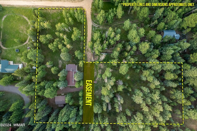 21 County Road 2043, Alpine, AZ 85920 - photo 40