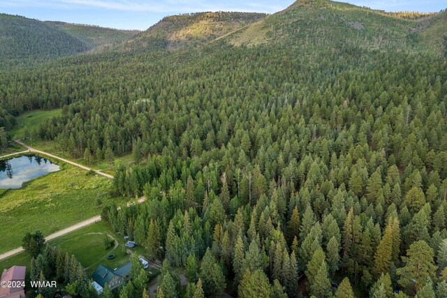 21 County Road 2043, Alpine, AZ 85920 - photo 46