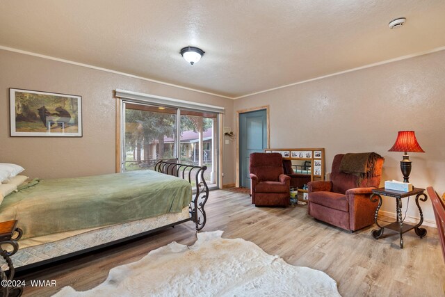 21 County Road 2043, Alpine, AZ 85920 - photo 29