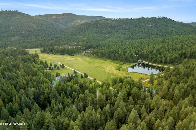 21 County Road 2043, Alpine, AZ 85920 - photo 45